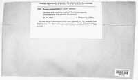 Fomes fomentarius image